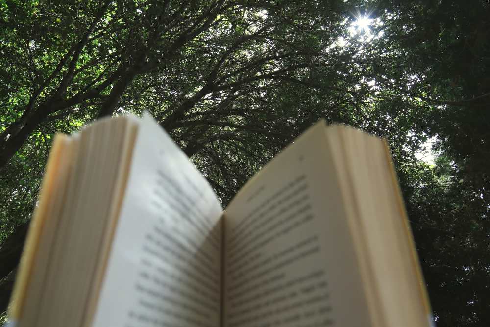 Reading a Book in Nature with the experience of someone having farsightedness